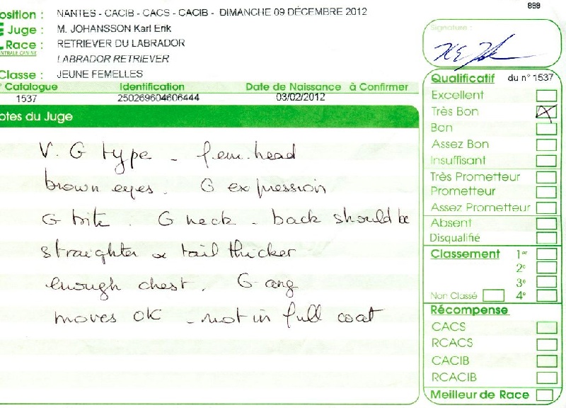 Hermione du Plateau Verdoyant - Très Bon en Classe Jeune