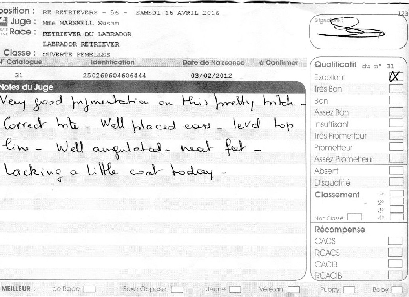 Hermione du Plateau Verdoyant - Excellent en classe Ouverte