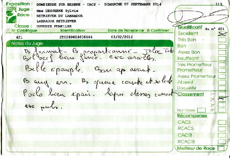 Hermione du Plateau Verdoyant - 2ème Excellent