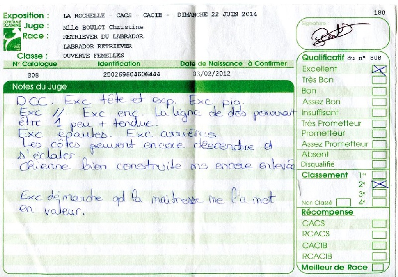 Hermione du Plateau Verdoyant - 2ème Excellent