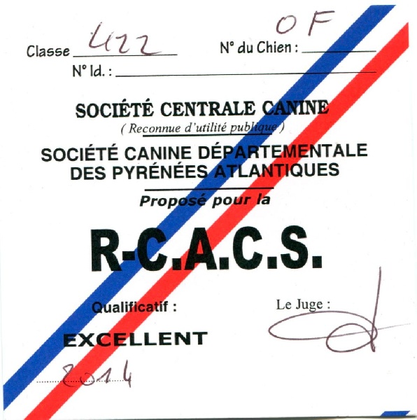 Hermione du Plateau Verdoyant - RCACS