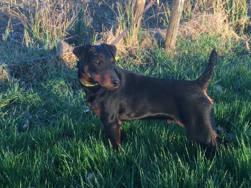 Publication : du haut de Koeking Auteur : MARC