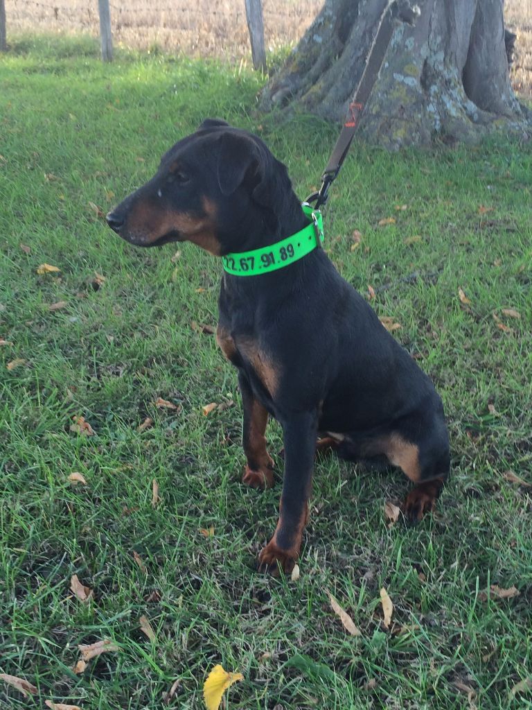 Publication : du haut de Koeking Auteur : MARC