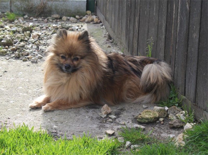 Publication : Du Jardin D'Inaya Auteur : Amélie Vasse