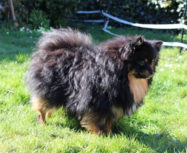 Publication : Du Jardin D'Inaya Auteur : Amélie Vasse