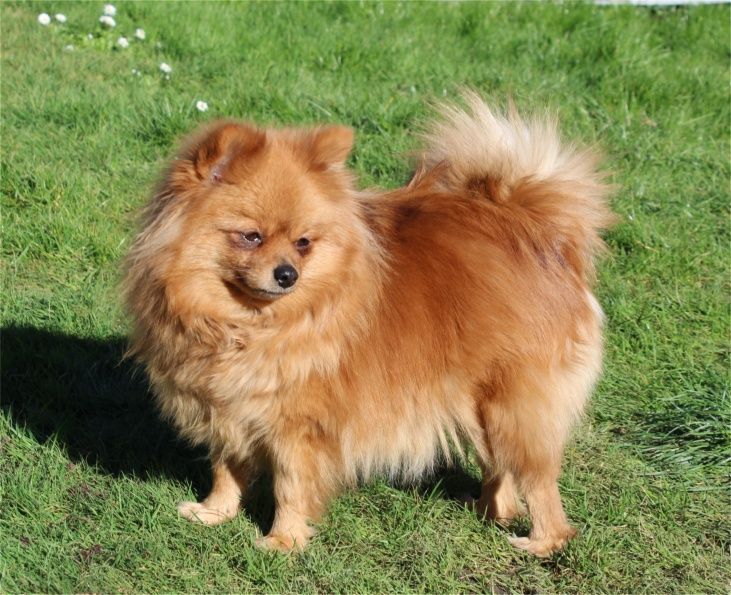 Publication : Du Jardin D'Inaya Auteur : Amélie VASSE