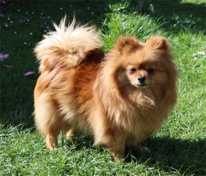 Publication : Du Jardin D'Inaya Auteur : Amélie VASSE