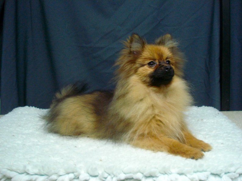 Publication : Du Jardin D'Inaya Auteur : Amélie Vasse