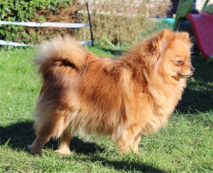 Publication : Du Jardin D'Inaya Auteur : Amélie VASSE