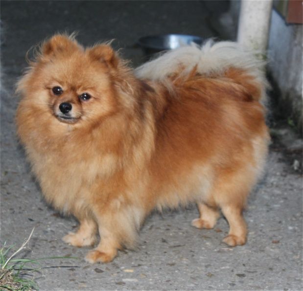 Publication : Du Jardin D'Inaya Auteur : Amélie VASSE