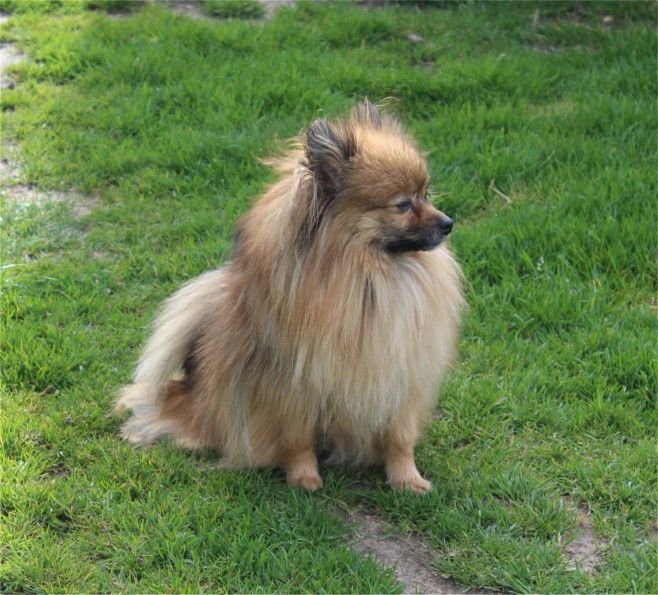 Publication : Du Jardin D'Inaya Auteur : Amélie Vasse