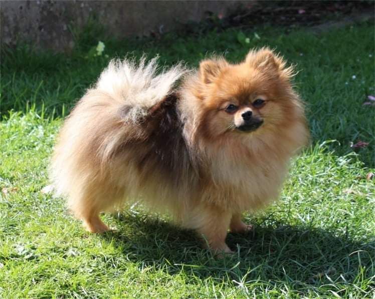 Publication : Du Jardin D'Inaya