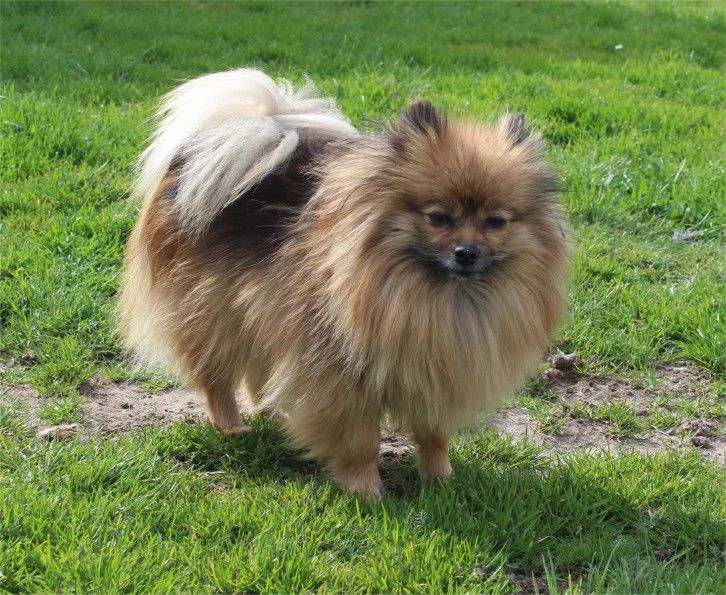 Publication : Du Jardin D'Inaya Auteur : Amélie Vasse