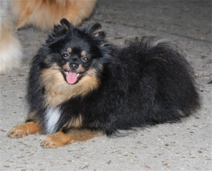 Publication : Du Jardin D'Inaya Auteur : Amélie Vasse