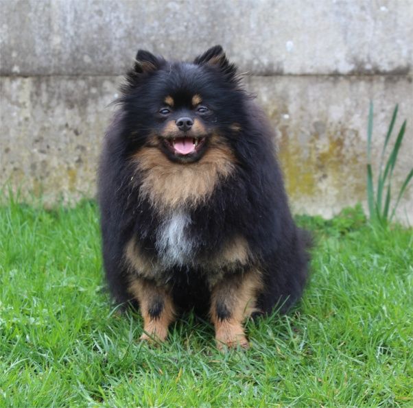 Publication : Du Jardin D'Inaya Auteur : Amélie Vasse