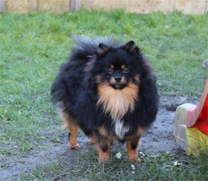 Publication : Du Jardin D'Inaya Auteur : Amélie Vasse