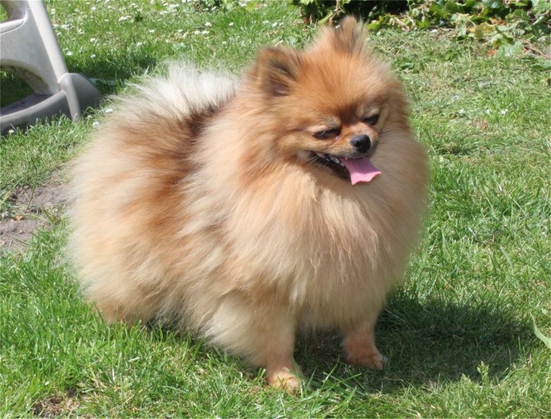 Publication : Du Jardin D'Inaya