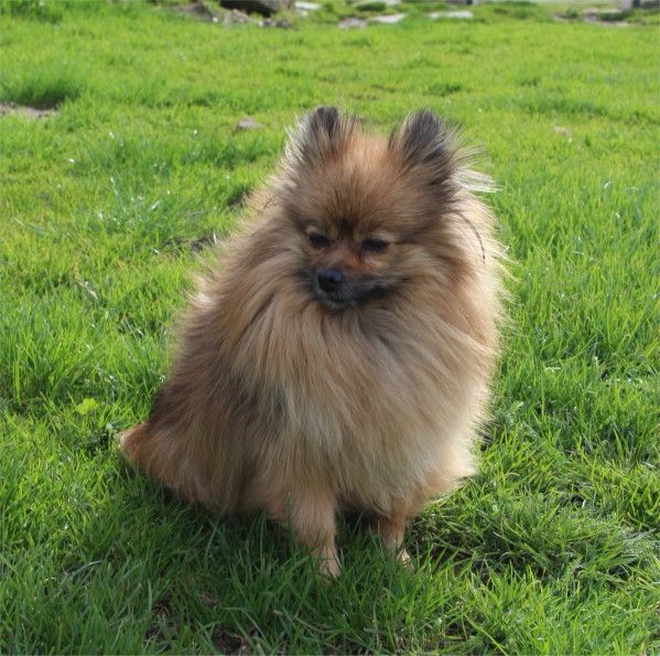 Publication : Du Jardin D'Inaya Auteur : Amélie Vasse