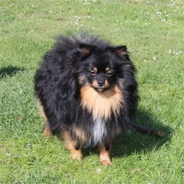 Publication : Du Jardin D'Inaya Auteur : Amélie Vasse