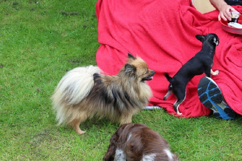 Publication : Du Jardin D'Inaya Auteur : Amélie Vasse