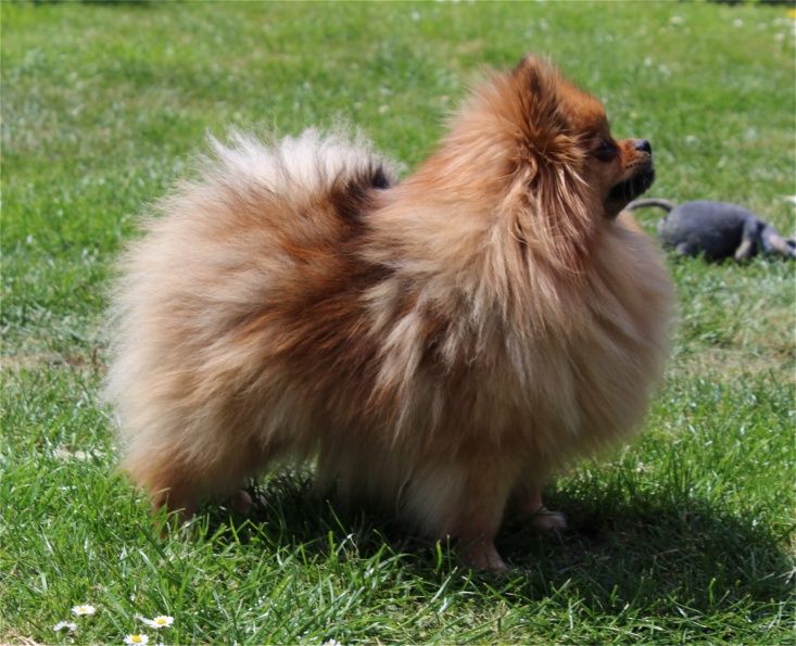 Publication : Du Jardin D'Inaya