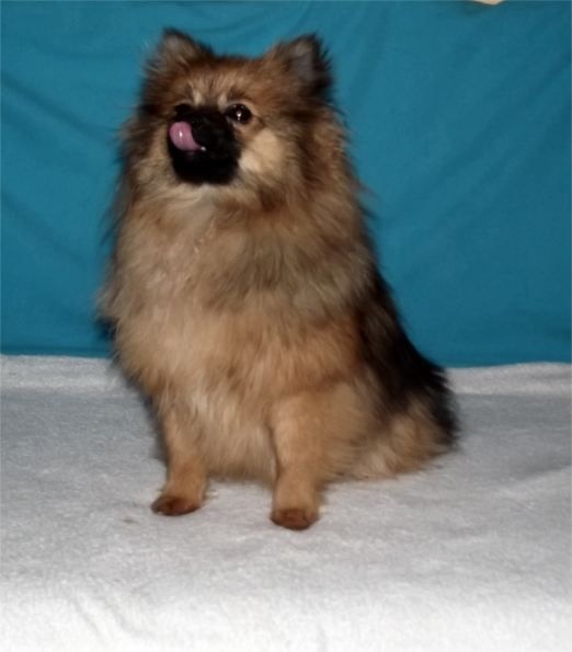 Publication : Du Jardin D'Inaya Auteur : Amélie Vasse