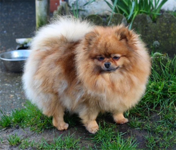 Publication : Du Jardin D'Inaya