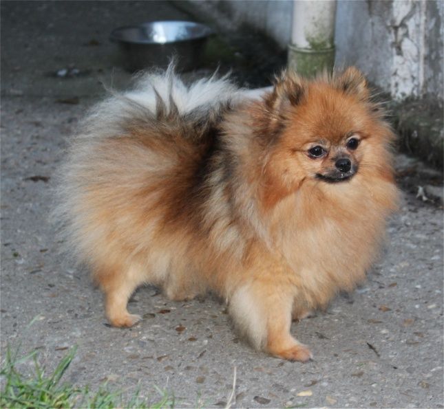 Publication : Du Jardin D'Inaya