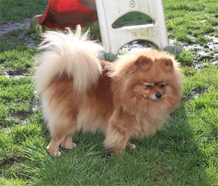 Publication : Du Jardin D'Inaya Auteur : Amélie VASSE