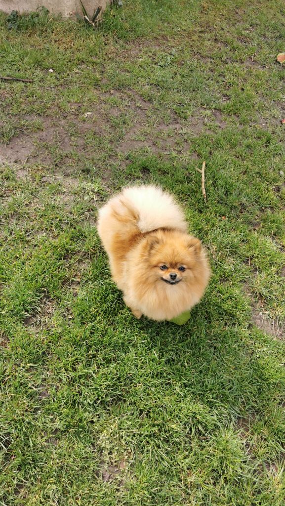 Publication : Du Jardin D'Inaya