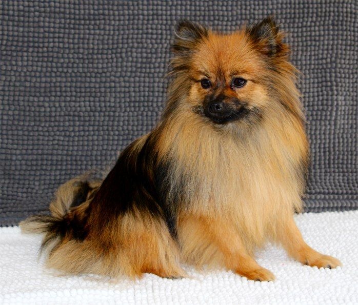 Publication : Du Jardin D'Inaya Auteur : Amélie Vasse