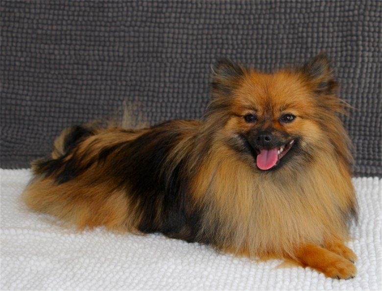 Publication : Du Jardin D'Inaya Auteur : Amélie Vasse