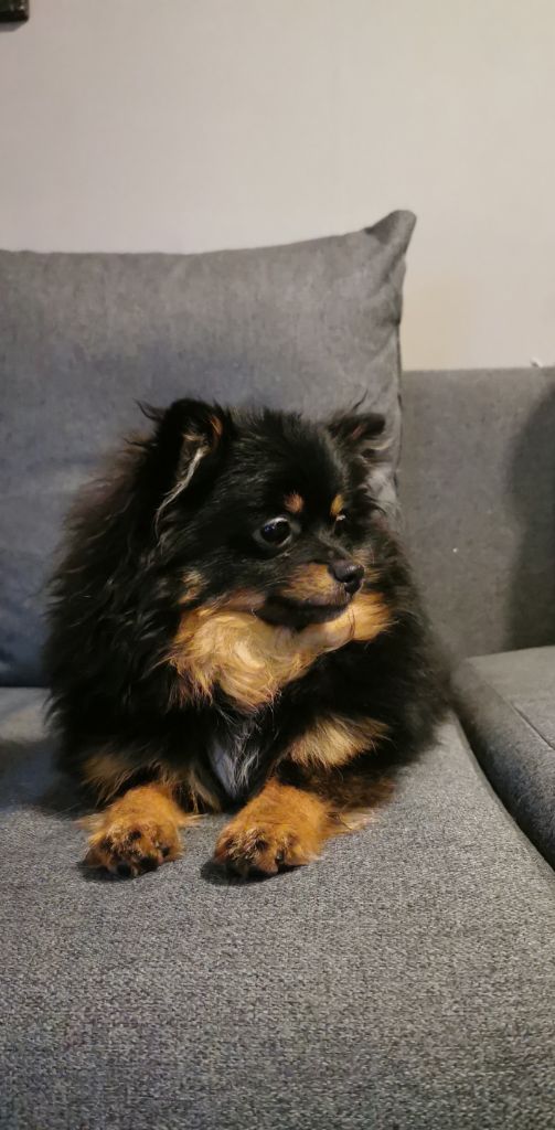 Publication : Du Jardin D'Inaya Auteur : Amélie Vasse