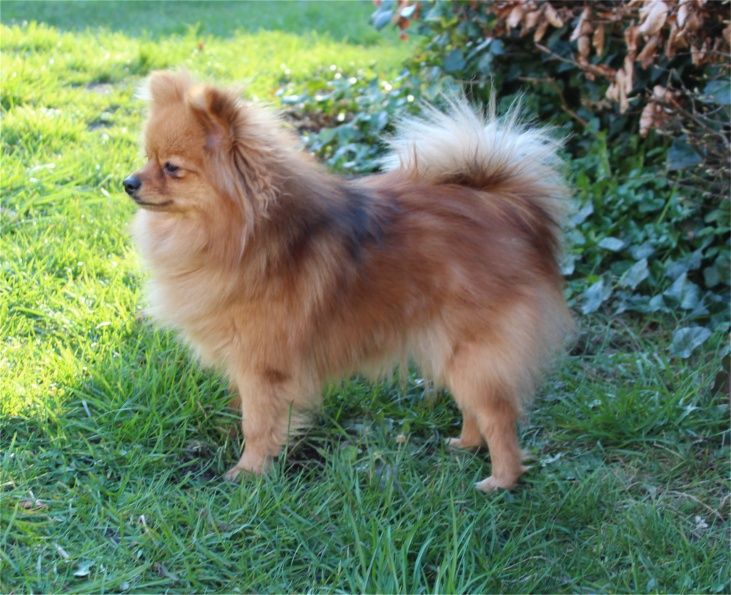 Publication : Du Jardin D'Inaya Auteur : Amélie VASSE