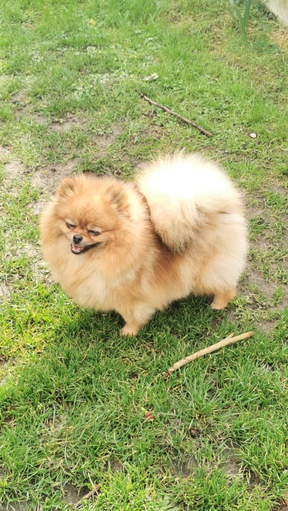 Publication : Du Jardin D'Inaya