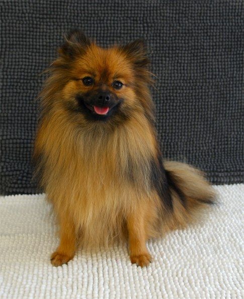 Publication : Du Jardin D'Inaya Auteur : Amélie Vasse