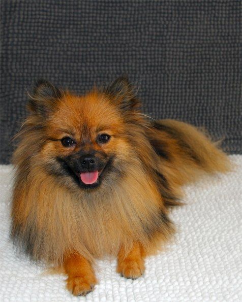 Publication : Du Jardin D'Inaya Auteur : Amélie Vasse