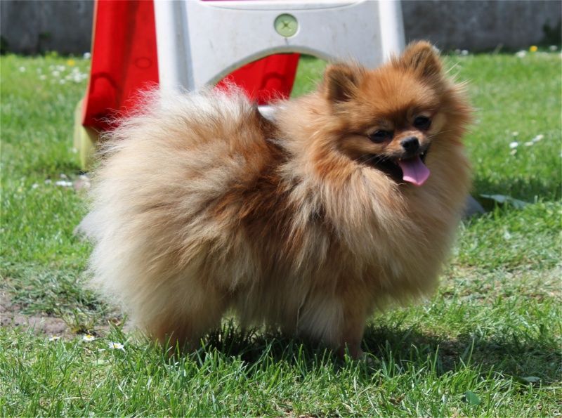 Publication : Du Jardin D'Inaya