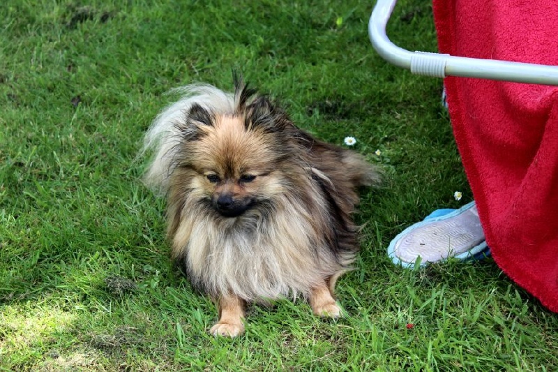 Publication : Du Jardin D'Inaya Auteur : Amélie Vasse