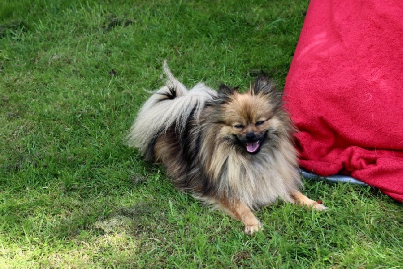 Publication : Du Jardin D'Inaya Auteur : Amélie Vasse