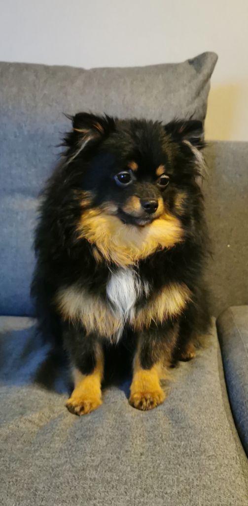 Publication : Du Jardin D'Inaya Auteur : Amélie Vasse