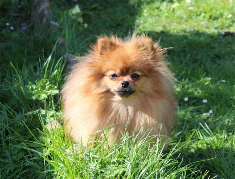 Publication : Du Jardin D'Inaya