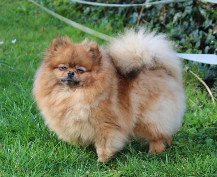 Publication : Du Jardin D'Inaya