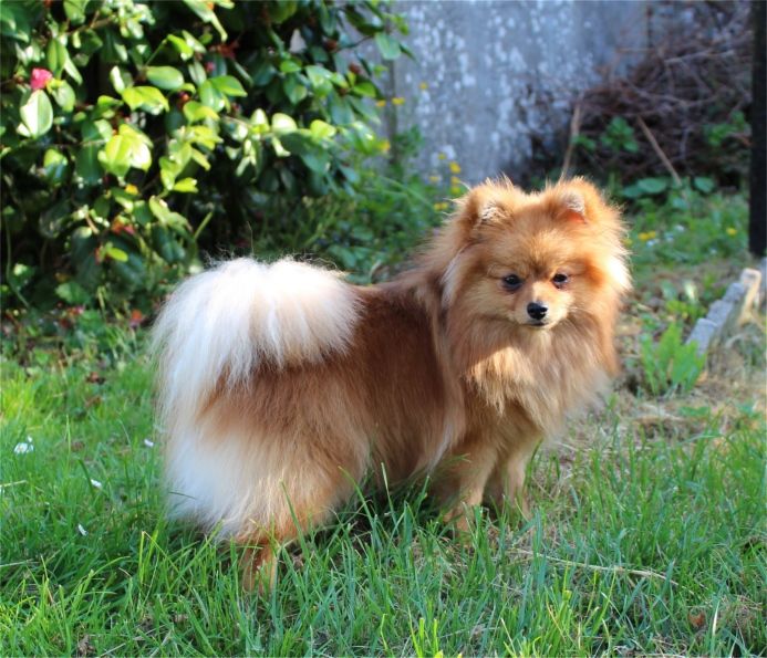 Publication : Du Jardin D'Inaya Auteur : Amélie VASSE