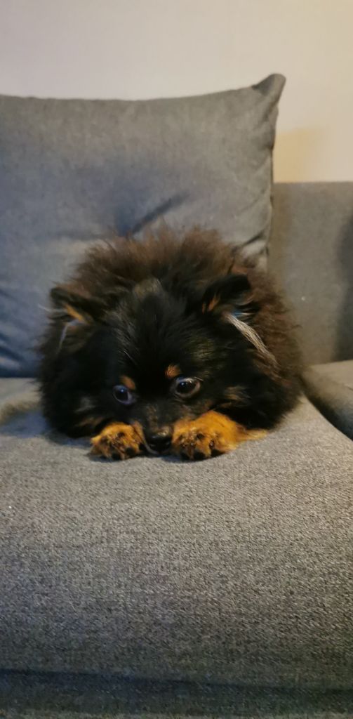 Publication : Du Jardin D'Inaya Auteur : Amélie Vasse