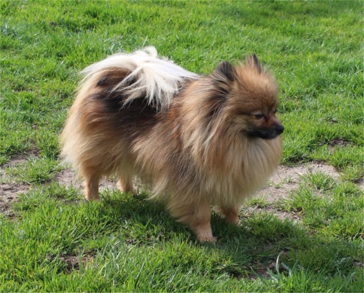 Publication : Du Jardin D'Inaya Auteur : Amélie Vasse