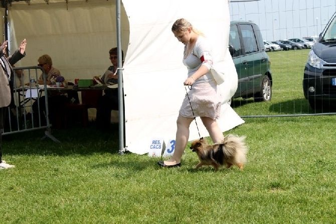 Inaya (Sans Affixe) - Bon