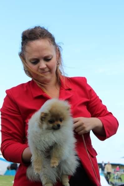 Unforgettable maddie Du Jardin D'Inaya - Très prometteur meilleur baby