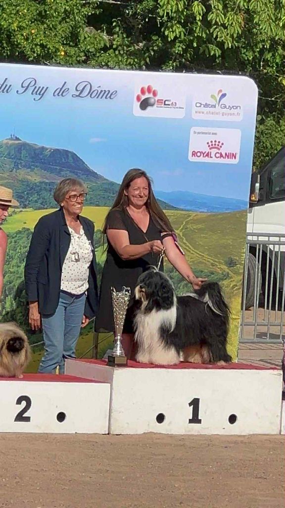 CH. waterley Viceroy