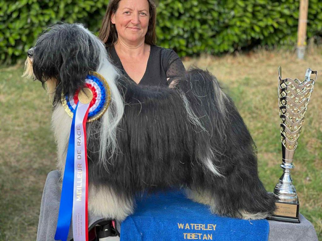 CH. waterley Viceroy